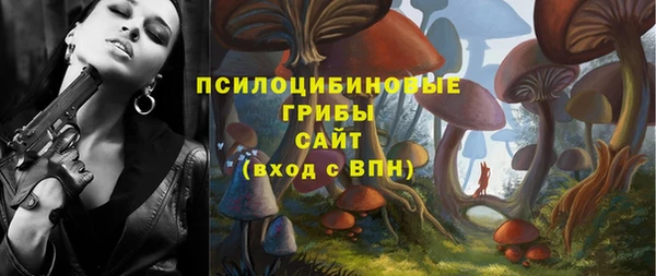 МДПВ Медногорск