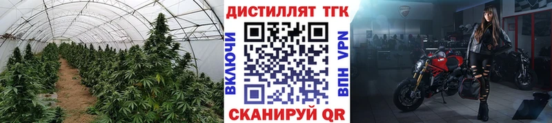 ТГК концентрат  даркнет Telegram  Энем  цена наркотик 