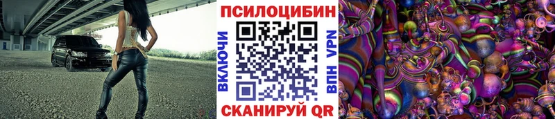цены   Энем  Псилоцибиновые грибы прущие грибы 